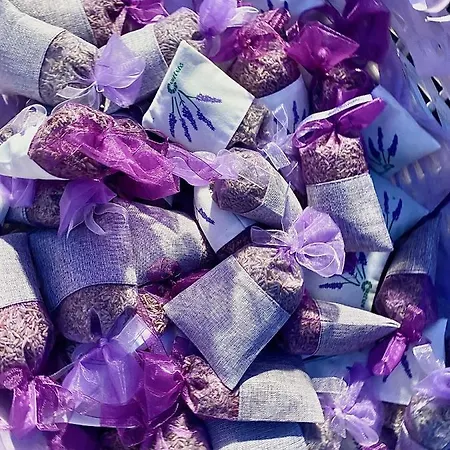 Ultimate Dream Apartmán