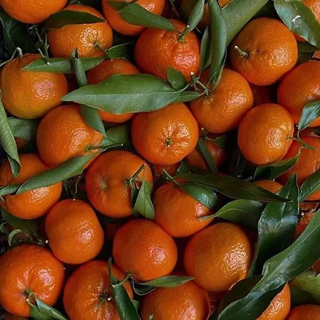 Ultimate Dream Διαμέρισμα *