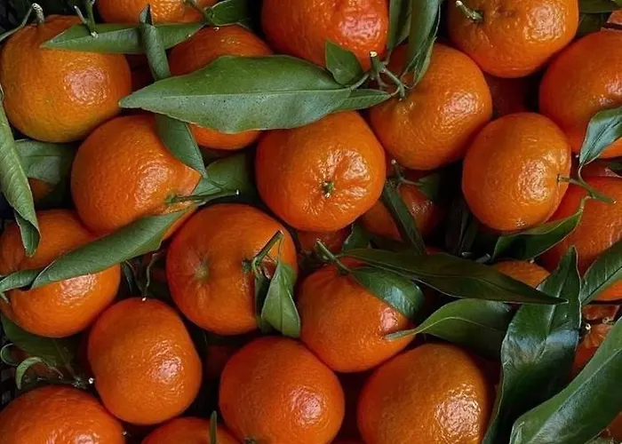 Ultimate Dream Appartamento *