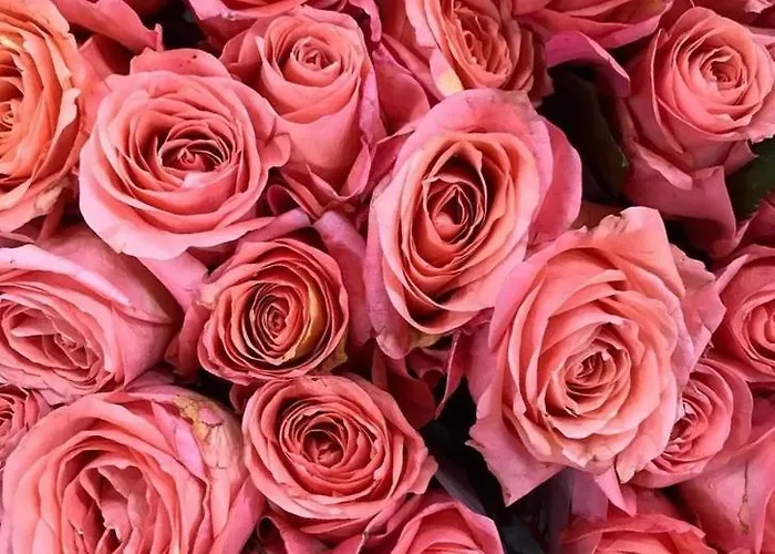 Ultimate Dream Appartamento *