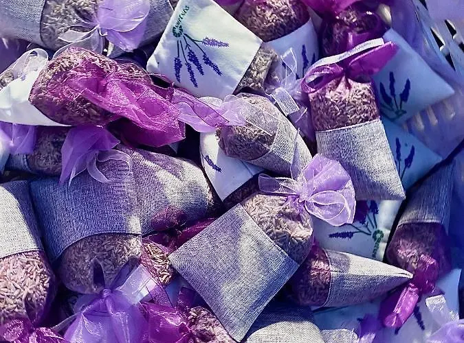 Ultimate Dream Διαμέρισμα